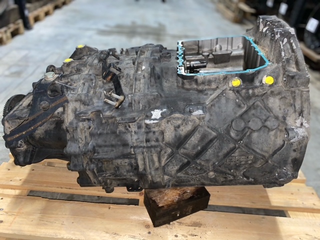 MN309261U