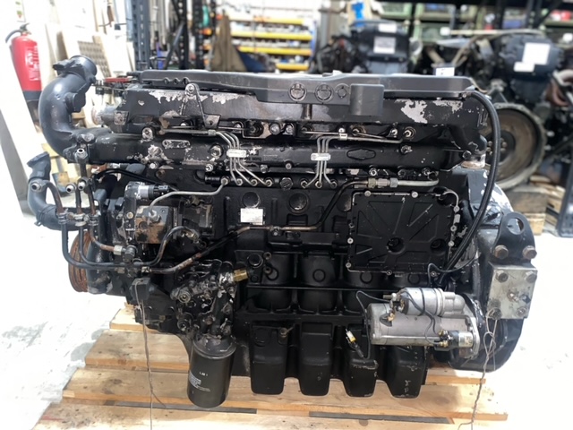 MN135093U
