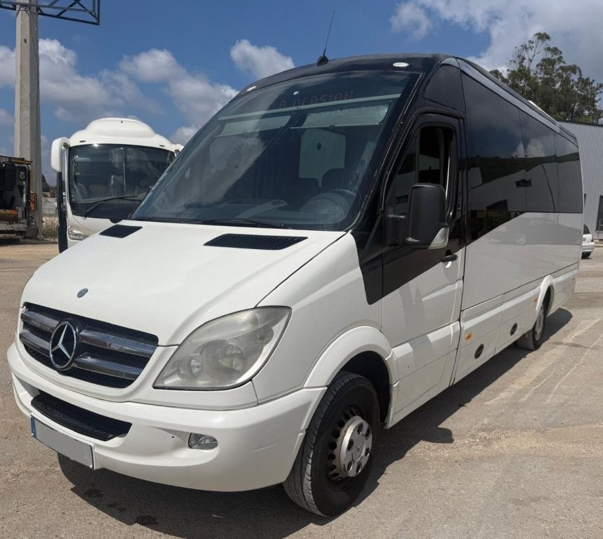 Autocarro Mercedes Sprinter 519 4X2 - 2013
