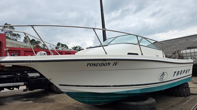 Barco Bayliner Trophy 2052 - 1996
